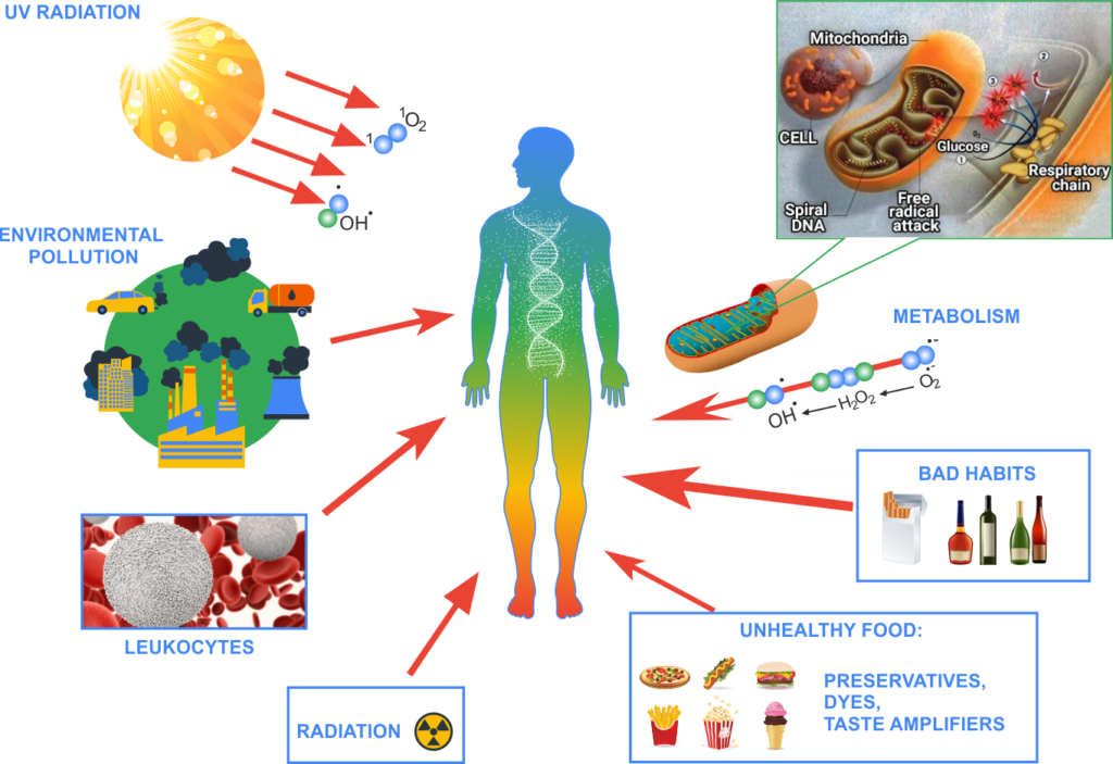 HYDROGEN MEDICINE - FUND CNT